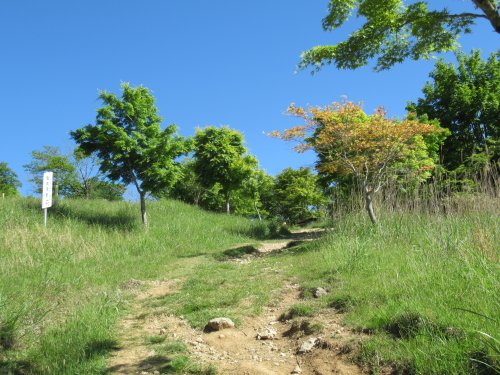 茶臼山登山コース